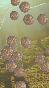 Animation of coins over horse