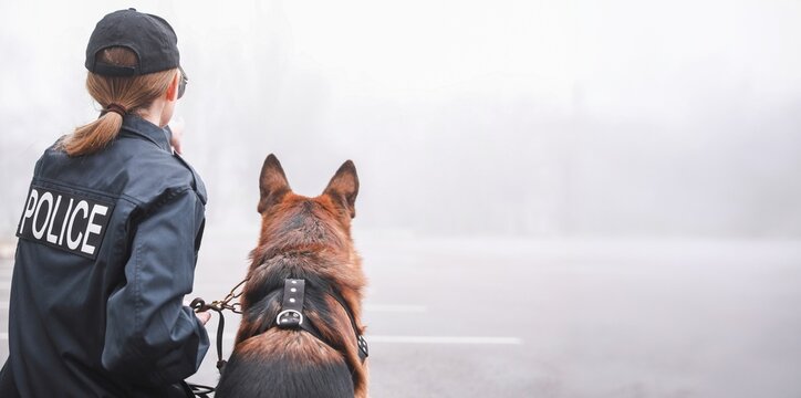 Female police officer and k9 german shepherd dog on duty, law enforcement and security concept, back view