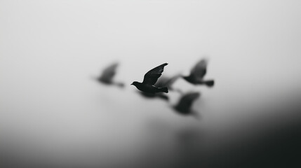 Fototapeta premium Graphic photo of black pigeons flying through foggy gray sky