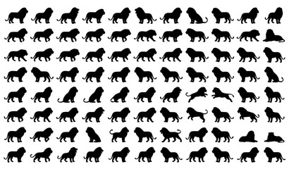 Fototapeta premium Wild Lion Standing Silhouette Vector Collection for Wildlife Logo Design