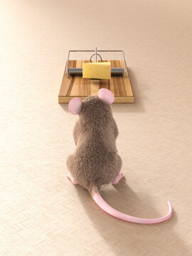 Mouse looking at piece of cheese in mouse trap