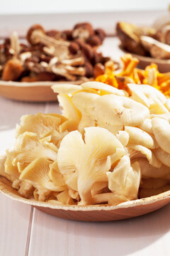 Fresh mushrooms, Golden Oyster Mushroom (Pleurotus citrinopileatus), Chanterelles (Cantharellus cibarius), Agrocybe aegerita and Ceps (Boletus edulis) in bowls on wooden table