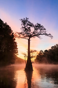 USA, Texas, Louisiana, Caddo Lake, Big Cypress Bayou, bald cypress forest at sunrise