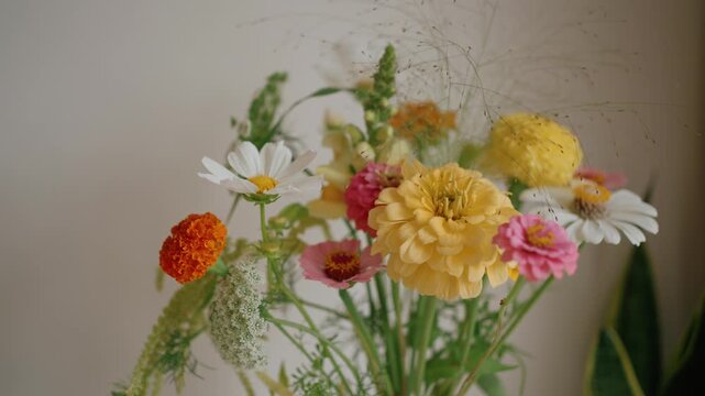 Beautiful still life of a fresh summer flower arrangement with colorful blooms of zinnia and cosmos, showcasing a vibrant composition with soft focus shifting through the bouquet