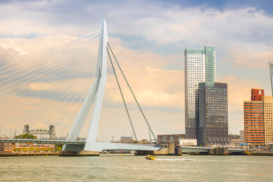 Erasmus bridge in late afternoon light in Rotterdam, Netherlands