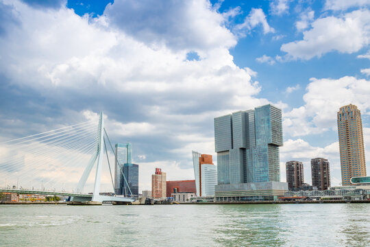 Erasmus bridge and scyscrapers at the New Maas river in Rotterdam, Netherlands