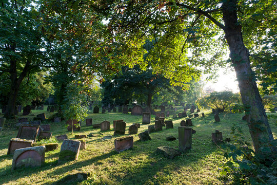 Germany, Rhineland-Palatinate, Worms, View of jewish cemetry