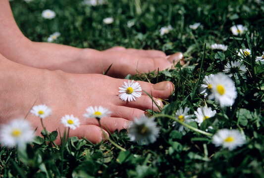 Feet on grass with daisy flowers, close-up