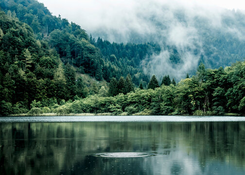 Austria, Salzburg State, Salzkammergut, St. Gilgen, Krotensee Lake, fog