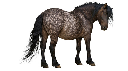 Fototapeta premium Dappled grey horse with black mane and tail, isolated on transparent background
