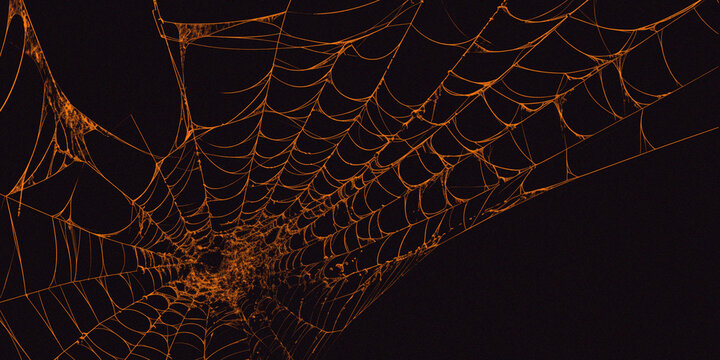 Dramatic orange spider web stretching across a dark background with intricate strands and deep perspective