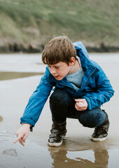 Little boy pointing at jellyfish at the beach © Rawpixel.com