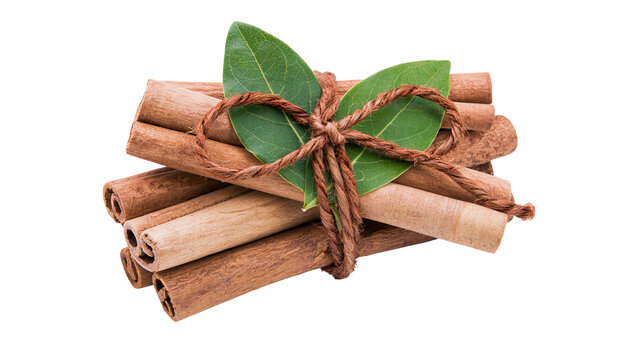 Bundle of cinnamon sticks tied with twine and green leaves, isolated on transparent background
