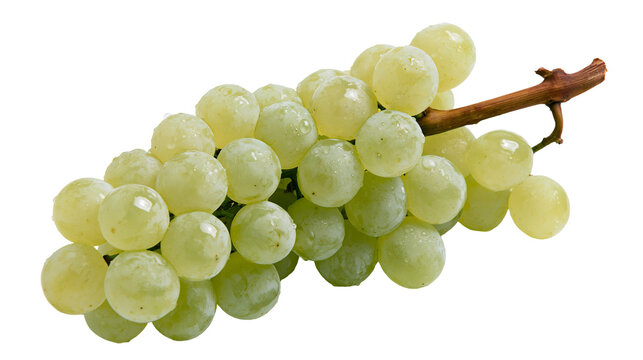 Fresh green grapes with water droplets on a woody stem, isolated on transparent background