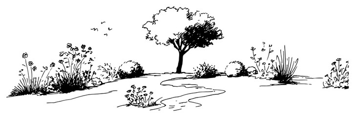 Path winding through meadow garden with single tree and wild flowers black and white line art sketch © Celestynka