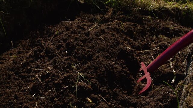 Metal garden pitchfork digs and lifts loose dark soil beside a grassy border in bright daylight.