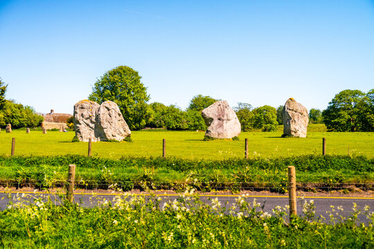 View of the ancient Neolithic standing stones at Avebury Stone Circle set in a lush green field with trees under a clear blue sky in Avebury, Wiltshire, United Kingdom.