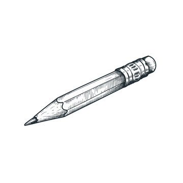 Hand drawn sketch style graphite pencil with eraser. Vintage art stationary artistic supply. Vector illustration isolated on white.