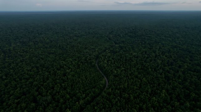Aerial View of a Dense Tropical Rainforest Canopy.