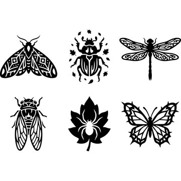 Tribal insect silhouette collection, 6 black bug vector icons, mystical butterfly and beetle stencils, nature tattoo art elements