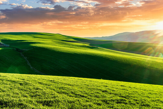 scenic green field with young salad grass on spring hills and beautiful mountains with nice evening sky on panoramic rural landscape