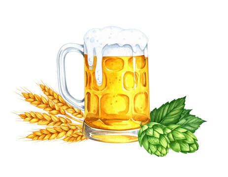 Bierkrug mit Hopfen und Gerste zum Oktoberfest, freigestelltes Aquarell-PNG