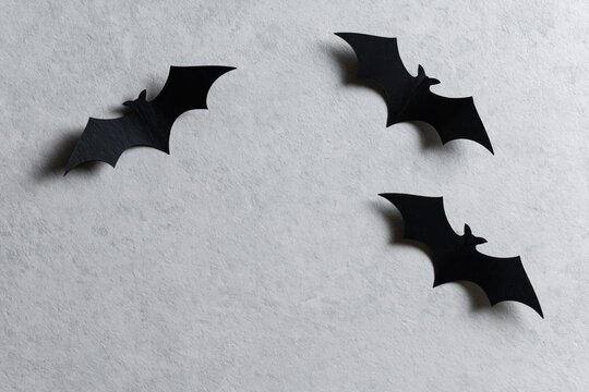 The Bat Silhouettes on Gray Textured Wall for Halloween Decor