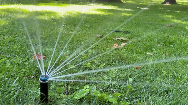 automatic irrigation system for watering plants. Drip irrigation, sprinkler system