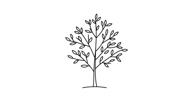 A simple line drawing of a deciduous tree with small leaves and branches reaching outwards
