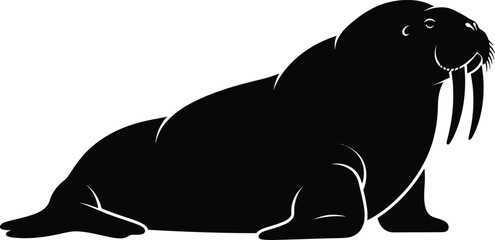 Obraz premium Black silhouette of a walrus with tusks on a white background