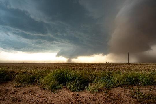 View of a supercell storm with a tornado funnel touching down over a vast agricultural field under a dark, dramatic sky.