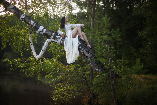 woman sits on a thick tree branch near a lake. She wears a long white dress. Sunlight shines through the leaves. scene shows a natural setting filled with greenery