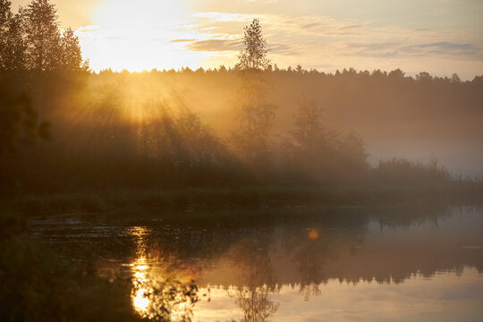 Sun rises over a river surrounded by trees and mist. light reflects on the water under a cloudy sky in a natural setting during early morning hours