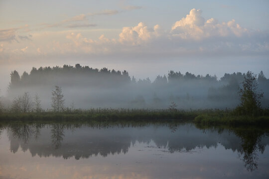 Morning fog blankets a lake with trees on the shore. water reflects the clouds and the surrounding nature. It is early and light is soft and muted