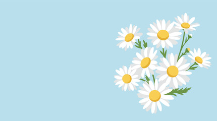 Fototapeta premium White daisy flowers bouquet minimalist flat vector illustration for spring greeting card and website header background
