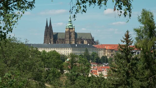 St Vitus Cathedral and Prague Castle stand framed by green summer trees. Historic gothic architecture highlights the famous Czech landmark. European travel destination for city sightseeing.