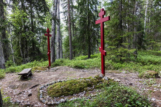 View of red Orthodox crosses marking a grave site surrounded by dense forest and mossy ground in Solovetsky, Arkhangelsk Oblast, Russia.