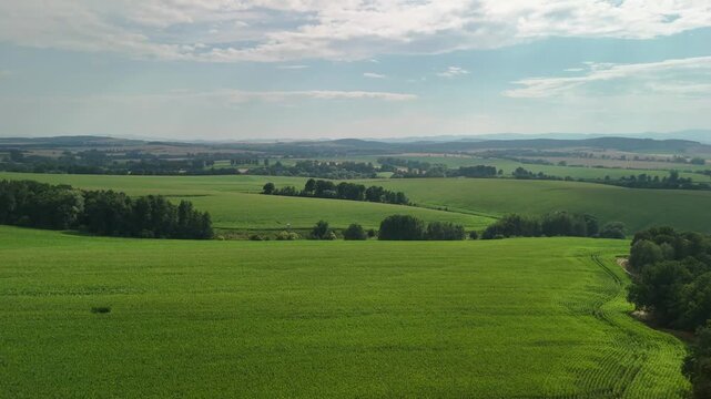 Wide green crop field with tramlines and hedgerows stretching to distant hazy hills
