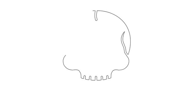 Continuous line drawing animation showing human skull emerging and disappearing in simple black ink aesthetic design isolated on white background digital motion.