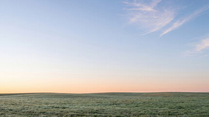 Vast green field covered in morning dew under a soft pastel sky at dawn, creating a tranquil natural scene. © Lela