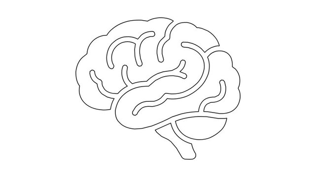 Minimalist brain animation drawing clean line art style self drawing of human brain with white background human intelligence brain organ animation concept video.