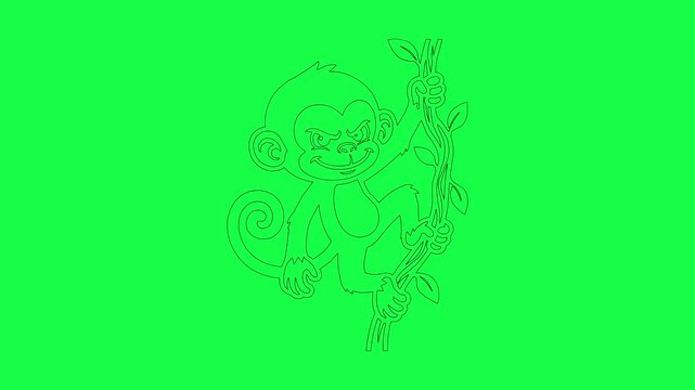 Black outline drawing of cute monkey climbing on tree branch emerging and disappearing on vibrant chroma key green screen background for creative motion animation.