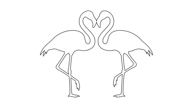 Two flamingos form heart shape with necks on white background animated single line drawing love concept motion graphics.