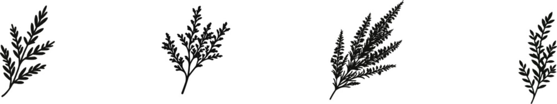 A minimalist black and white flat vector icon of a dried heather sprig with solid black lines and fills, isolated on a pure white background