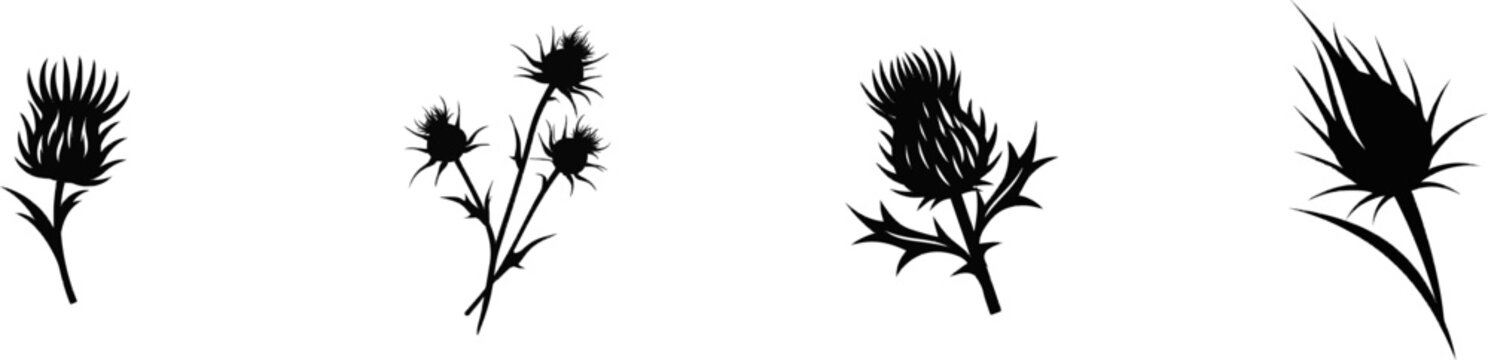A premium black and white flat vector icon of a dried thistle profile, solid black lines and fills, modern UI style, exclusive minimalist design, isolated on a pure white background