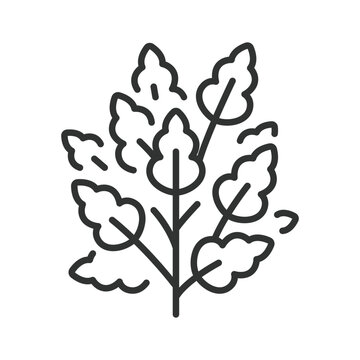 Leafy garden bush, icon in line design. leafy bush, garden shrub, bush with leaves, green shrub, foliage plant, garden plant, landscape bush on white background vector. Editable stroke icon.