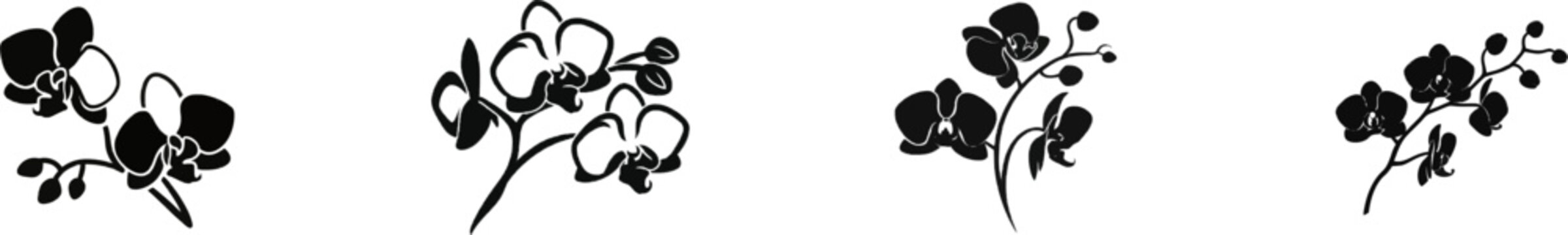 A minimalist black and white phalaenopsis orchid icon with delicate lines and fills, designed for modern UI aesthetics on a pure white background