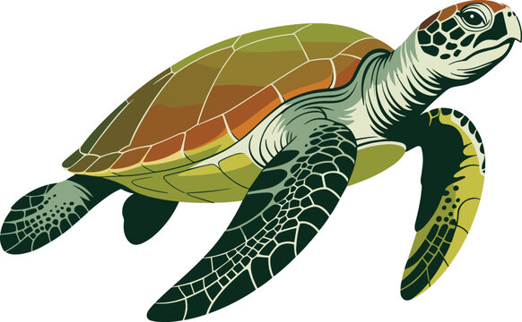 Graceful sea turtle shell pattern animal vector on white background.