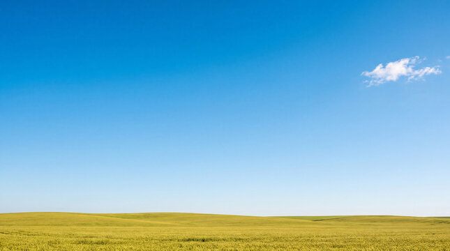 Expansive blue sky with a small white cloud above rolling green and yellow crop fields.