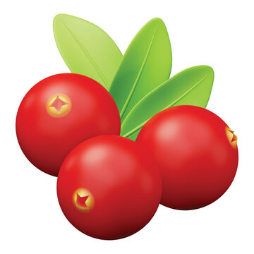 3d rendering icon Cranberries fruit